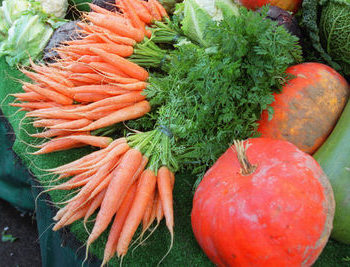 L&rsquo;agriculture biologique, plus productive qu&rsquo;on ne le pense