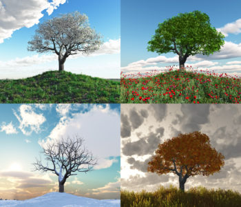 Au rythme des saisons…