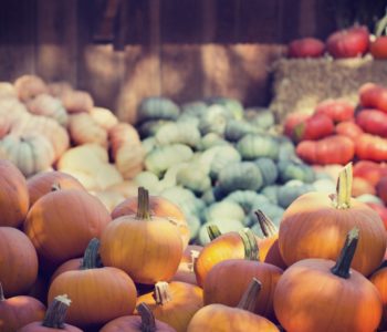 L&rsquo;Agenda d&rsquo;Octobre