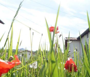 Atelier collectif Landeia