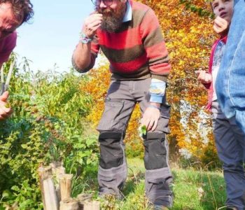 Bayonne : le « potager pirate » restera bien perché sur les remparts > SUD OUEST.FR