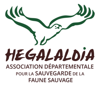 L’association Hegalaldia > FRANCE BLEU