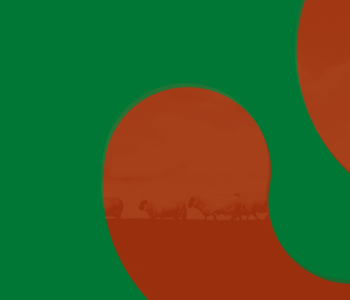 “Le Temps de la langue basque” > FRANCE 3