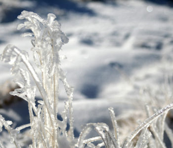 L&rsquo;Agenda de Janvier