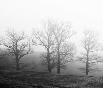 L&rsquo;Agenda de Février