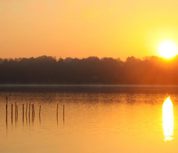 Regarder le soleil se lever