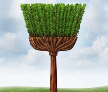 UN PETIT GOÛT DE PRINTEMPS