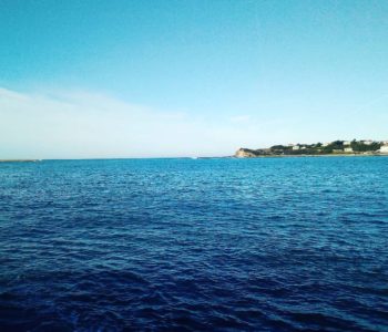 Un petit goût de Printemps