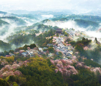 JAPORAMA : LE JAPON au PAYS-BASQUE
