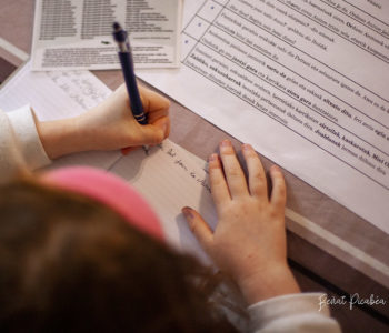 Pourquoi parler le basque au Pays Basque ?