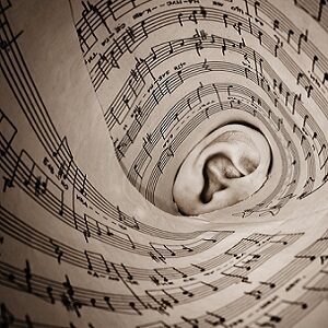 Pourquoi parler le basque au Pays Basque ?