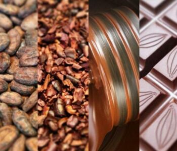 Maîtres-chocolatiers d’ici