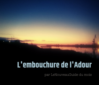 L&rsquo;Embouchure de l&rsquo;Adour