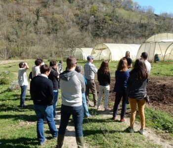 LE CIVAM BLE, groupement des producteurs bio