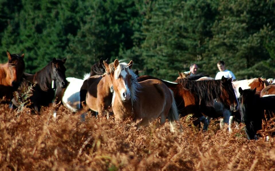 Les gardiens de Larrun