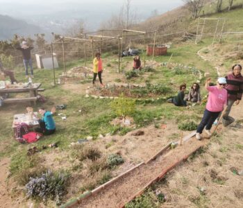 Réveillez le Génie Vert qui est en vous !