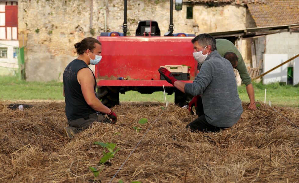 Maraichage bio et insertion professionnelle