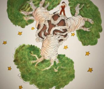 Les Baobabs du Petit Prince